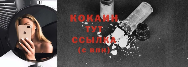 МДПВ Горняк