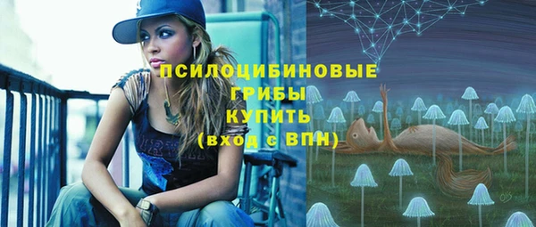 МДПВ Горняк