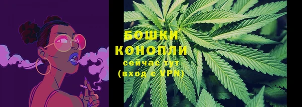 соль курить ск Горно-Алтайск