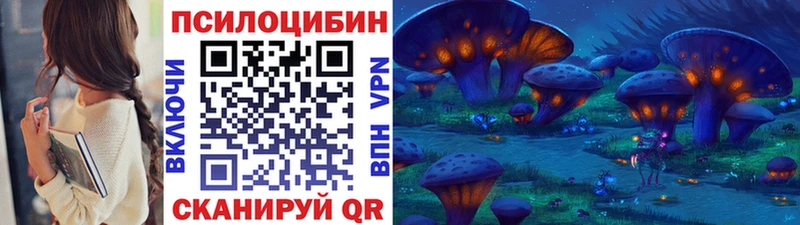 Галлюциногенные грибы Cubensis  Купить закладки  Кандалакша 